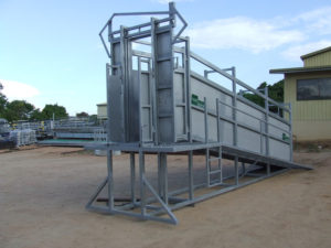 Cattle ramp with steel supplies charters towers branding in a yard
