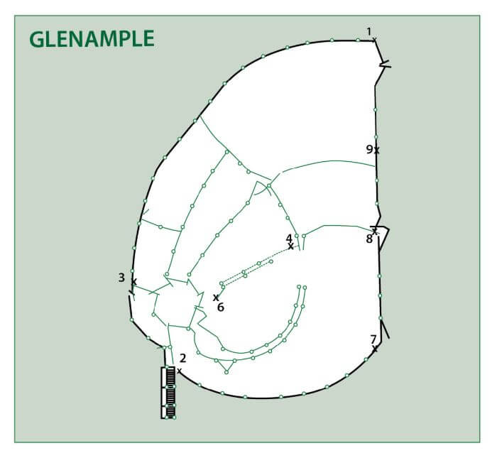 The Glenample cattle yard design