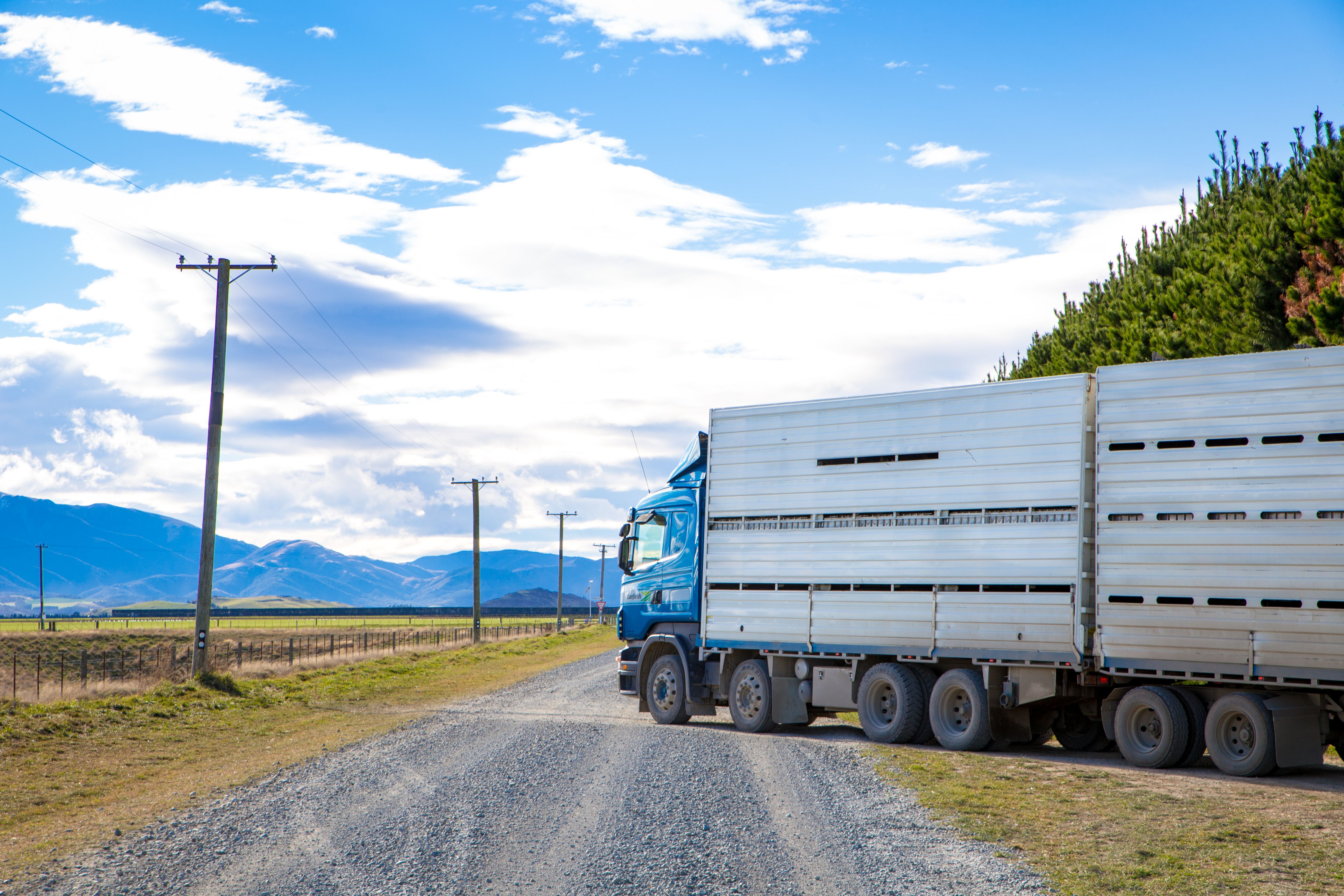 Key Considerations for Transporting Cattle Steel Supplies