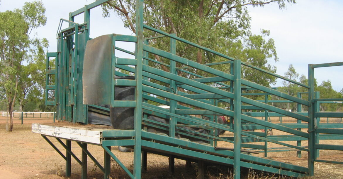The Top 10 Benefits of Having a Proper Cattle Chute on Your Farm