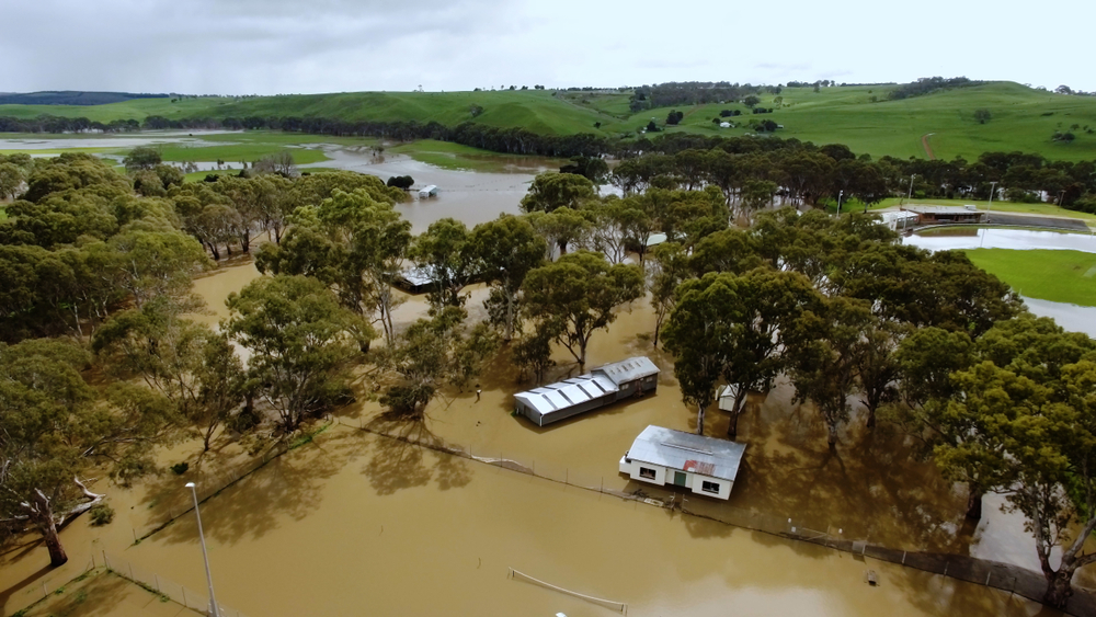 Effective Recovery Strategies for Farms Post-Flooding